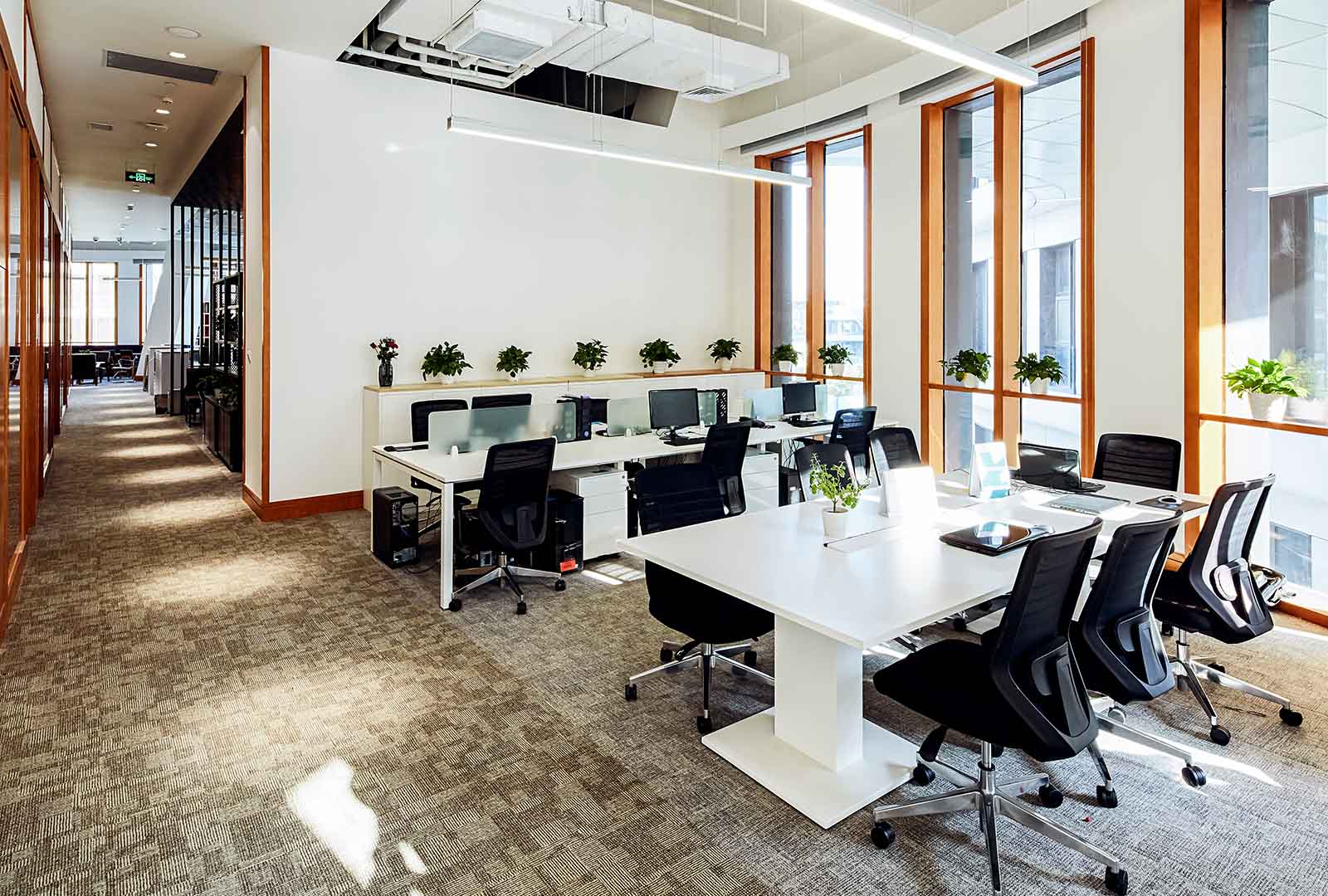 Direct Co-Investment